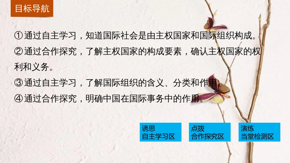 高中政治 8.1 国际社会的主要成员 主权国家和国际组织课件 新人教版必修2_第3页