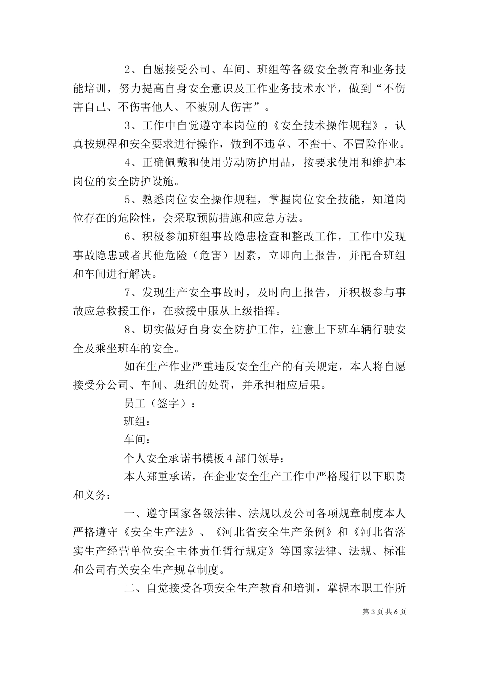 个人安全承诺书模板4篇_第3页
