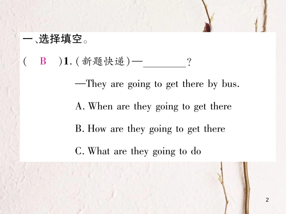 （成都专版）八年级英语上册 Unit 6 I’m going to study computer science Section B（2a-2e）作业课件 （新版）人教新目标版_第2页