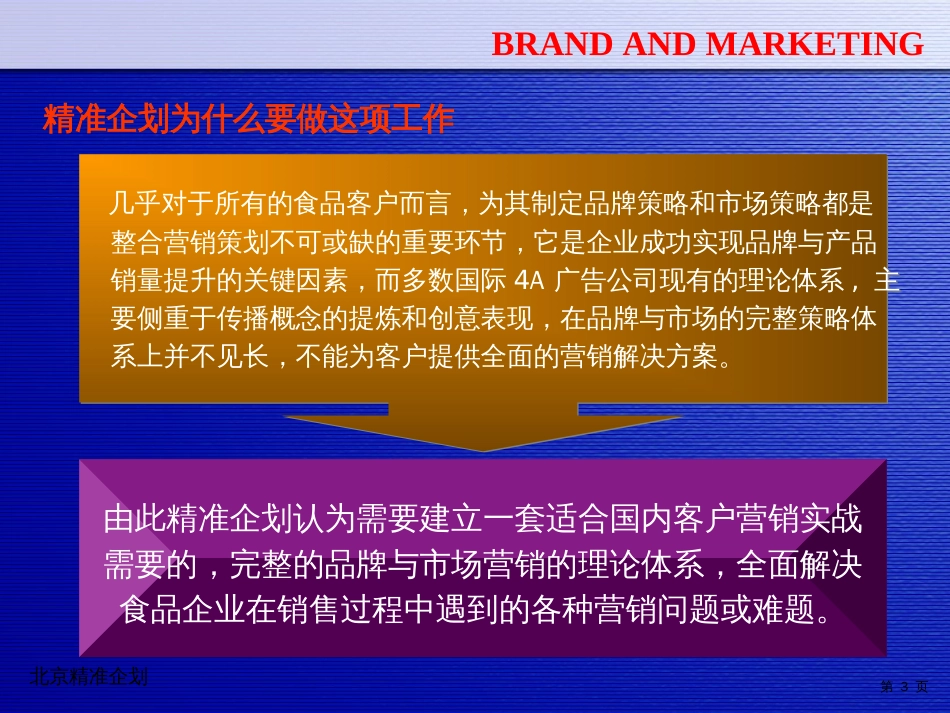 精准企划营销实战理论体系中国食品行业整合营销策划领导品牌_第3页