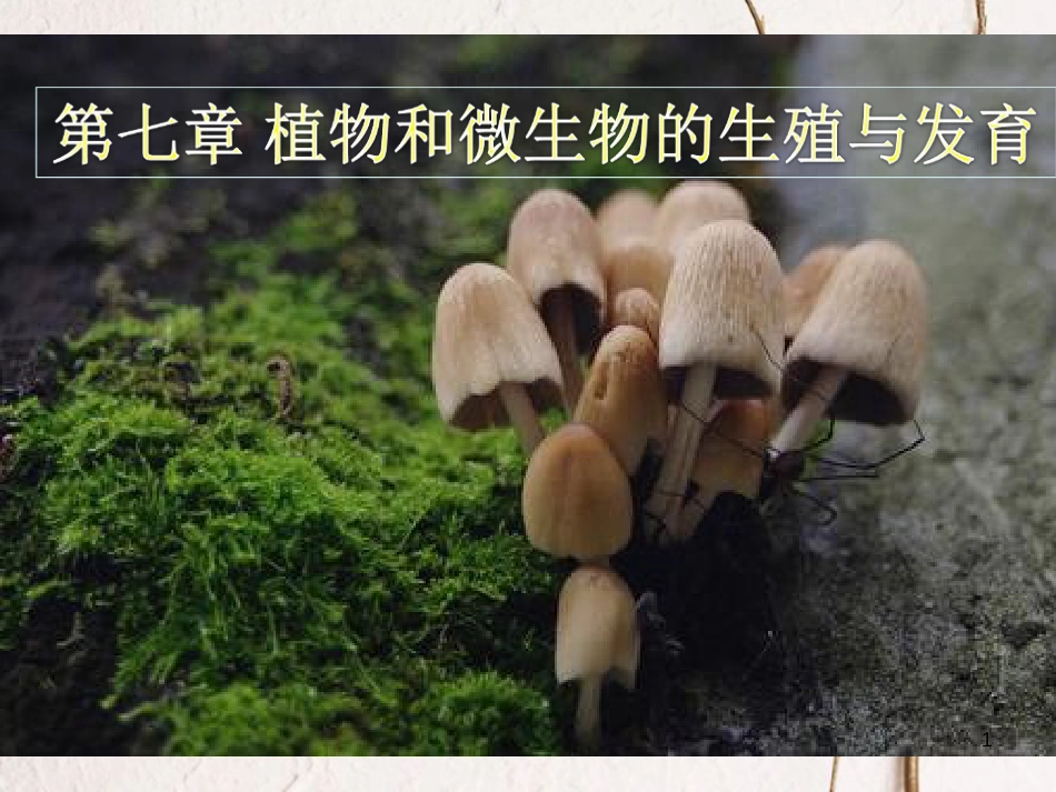 七年级科学下册 7.4《细菌和真菌的繁殖》课件 （新版）华东师大版[共40页]_第1页
