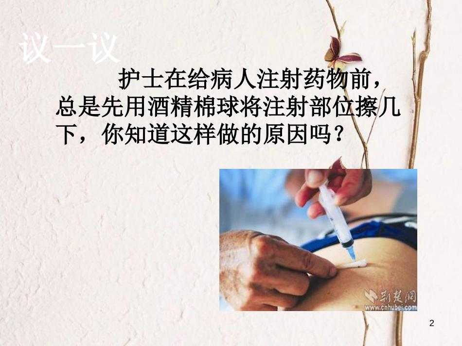七年级科学下册 7.4《细菌和真菌的繁殖》课件 （新版）华东师大版[共40页]_第2页