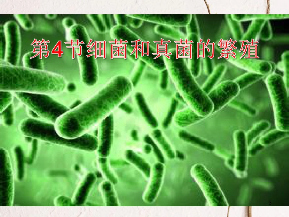 七年级科学下册 7.4《细菌和真菌的繁殖》课件 （新版）华东师大版[共40页]_第3页