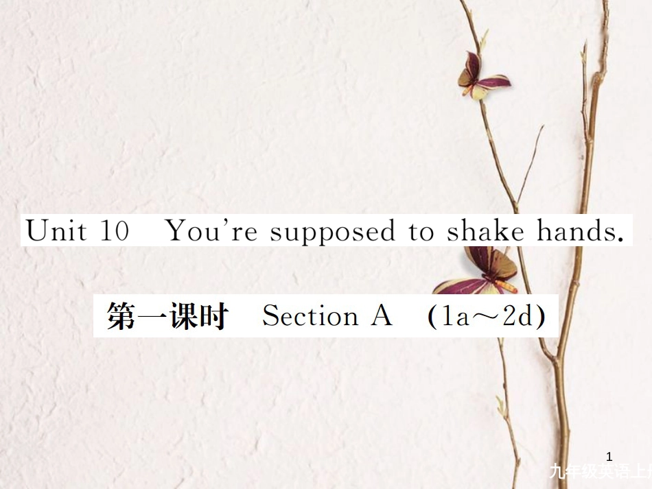 （安徽专版）九年级英语全册 Unit 10 You’re supposed to shake hands（第1课时）习题课件 （新版）人教新目标版_第1页