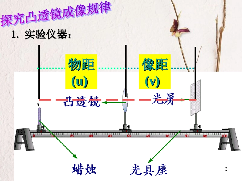 七年级科学下册 2.6《透镜和视觉》课件2 浙教版[共21页]_第3页