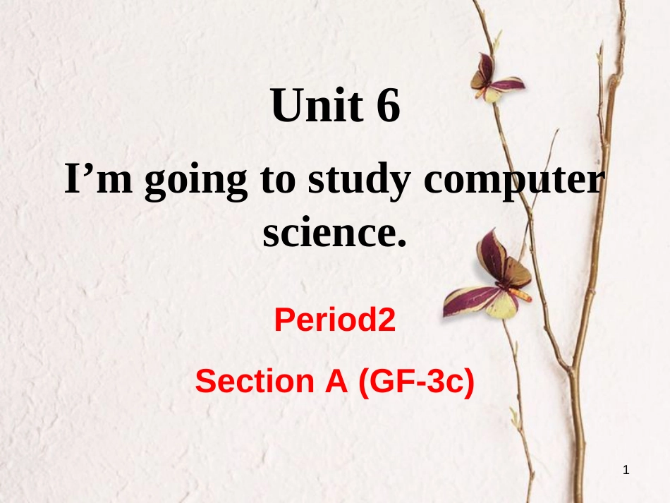 （成都专版）八年级英语上册 Unit 6 I’m going to study computer science Section A（Grammar Focus-3c）教学课件 （新版）人教新目标版_第1页