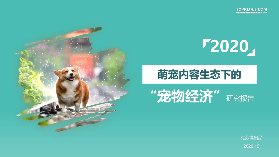 克劳锐：2020萌宠内容生态下的宠物经济（35页）_第1页