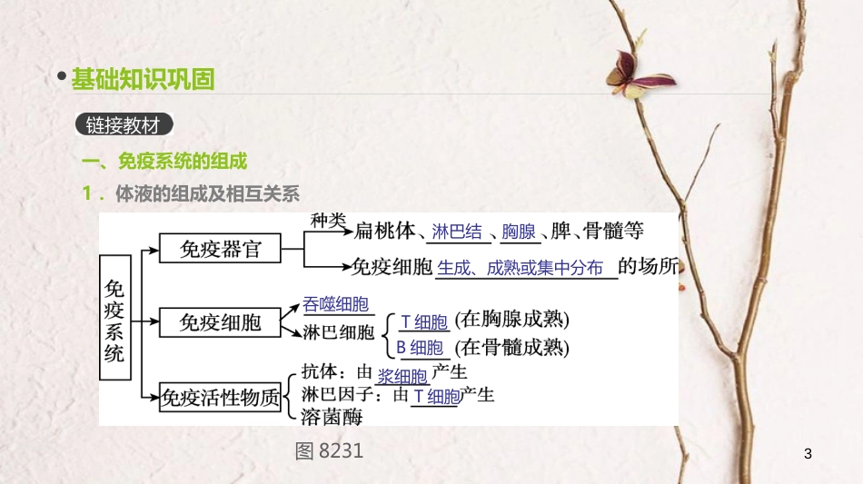 (全国)高考生物一轮复习(基础知识巩固+考点互动探究+考例考法直击+教师备用习题)第8单元 生命活动的调节 第26讲 免疫调节课件_第3页