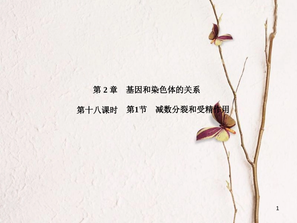 高考高考生物一轮复习 第二章 基因和染色体的关系（第十八课时）第1节 减数分裂和受精作用课件 新人教版必修2_第1页