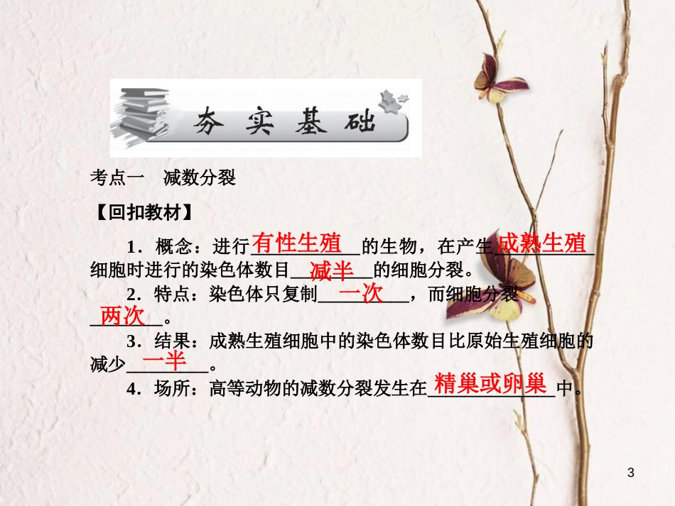高考高考生物一轮复习 第二章 基因和染色体的关系（第十八课时）第1节 减数分裂和受精作用课件 新人教版必修2_第3页