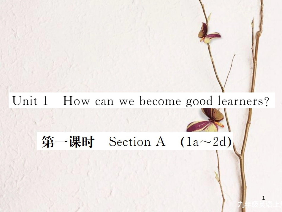 （安徽专版）九年级英语全册 Unit 1 How can we become good learners（第1课时）习题课件 （新版）人教新目标版_第1页