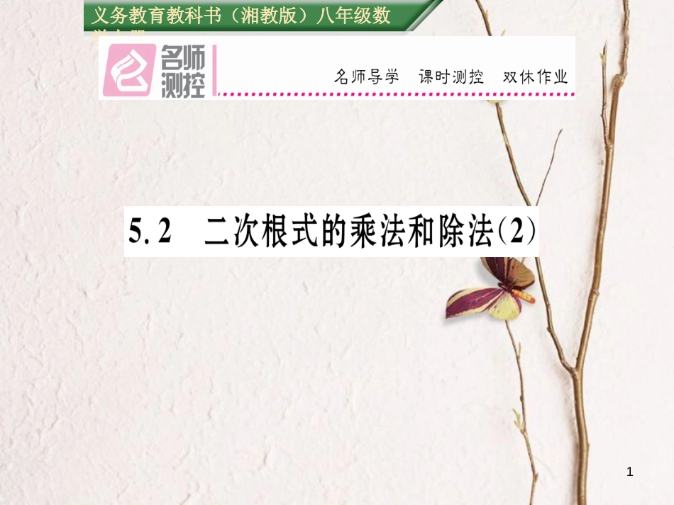 八年级数学上册 5.2 二次根式的乘法和除法课件2 （新版）湘教版[共16页]_第1页
