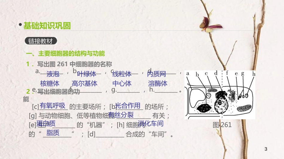 (全国)高考生物一轮复习(基础知识巩固+考点互动探究+考例考法直击+教师备用习题)第2单元 细胞的结构与物质的运输 第6讲 细胞器与生物膜系统课件_第3页