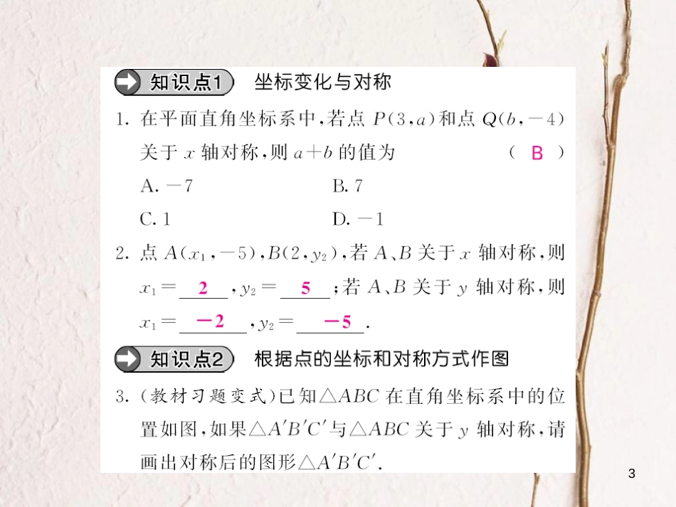 八年级数学上册 3.3 轴对称与坐标变化课件 （新版）北师大版[共13页]_第3页