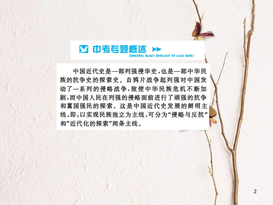中考历史总复习 第二篇 专题突破一 列强的侵略与中华民族的抗争课件[共11页]_第2页