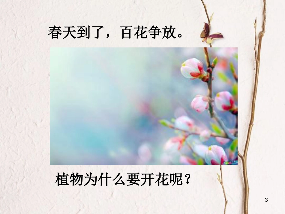 七年级科学下册 7.1《绿色开花植物的有性生殖与发育》课件 （新版）华东师大版[共32页]_第3页