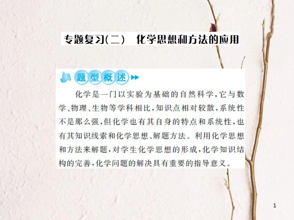 中考化学总复习 第二篇 专题突破 提升能力 专题复习（二）化学思想与方法的应用课件[共36页]_第1页