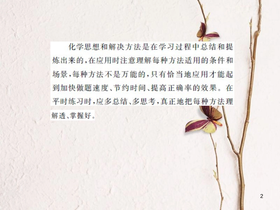 中考化学总复习 第二篇 专题突破 提升能力 专题复习（二）化学思想与方法的应用课件[共36页]_第2页