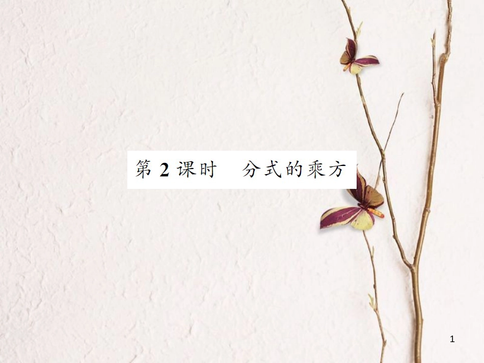 八年级数学上册 1.2 分式的乘方（第2课时）课件 （新版）湘教版[共12页]_第1页