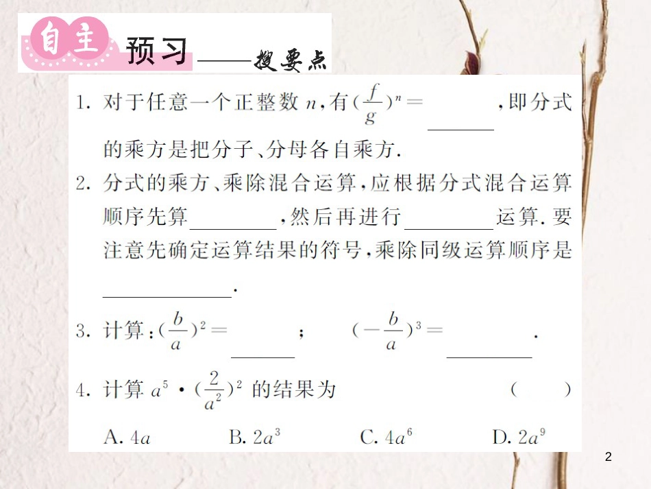 八年级数学上册 1.2 分式的乘方（第2课时）课件 （新版）湘教版[共12页]_第2页