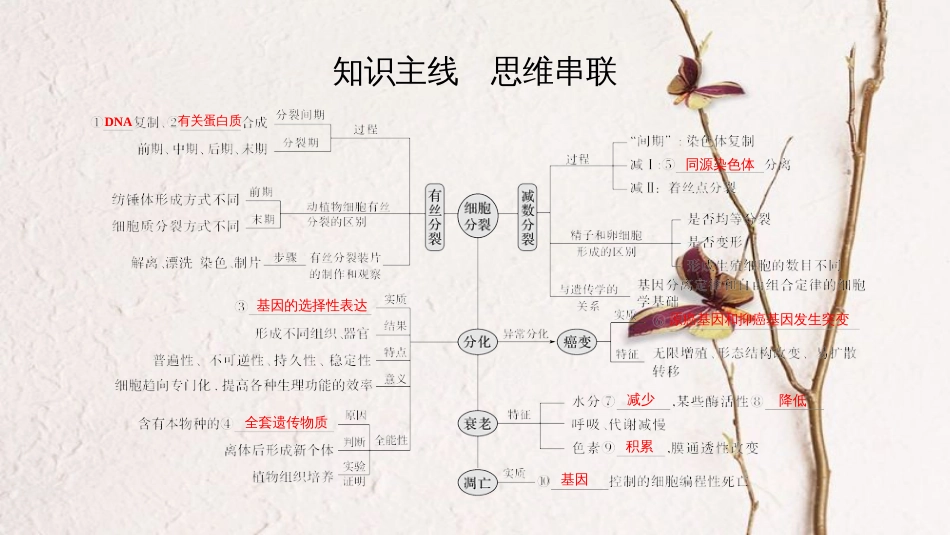 第四单元 细胞的生命历程【复习课件】-2021年高考一轮生物单元复习一遍过_第2页