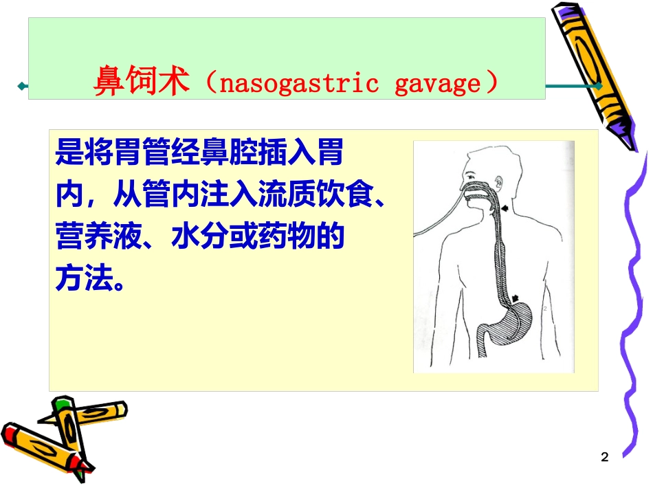 鼻饲术ppt课件[共14页]_第2页