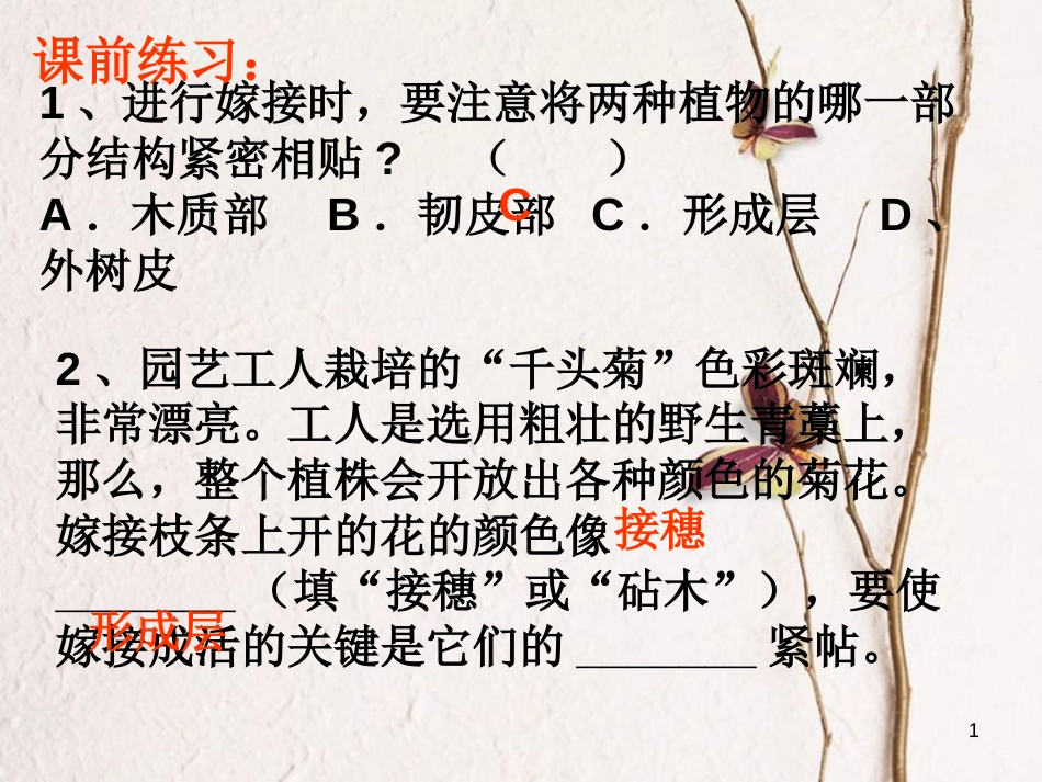 七年级科学下册 1.6《细菌和真菌的繁殖》课件2 浙教版[共26页]_第1页