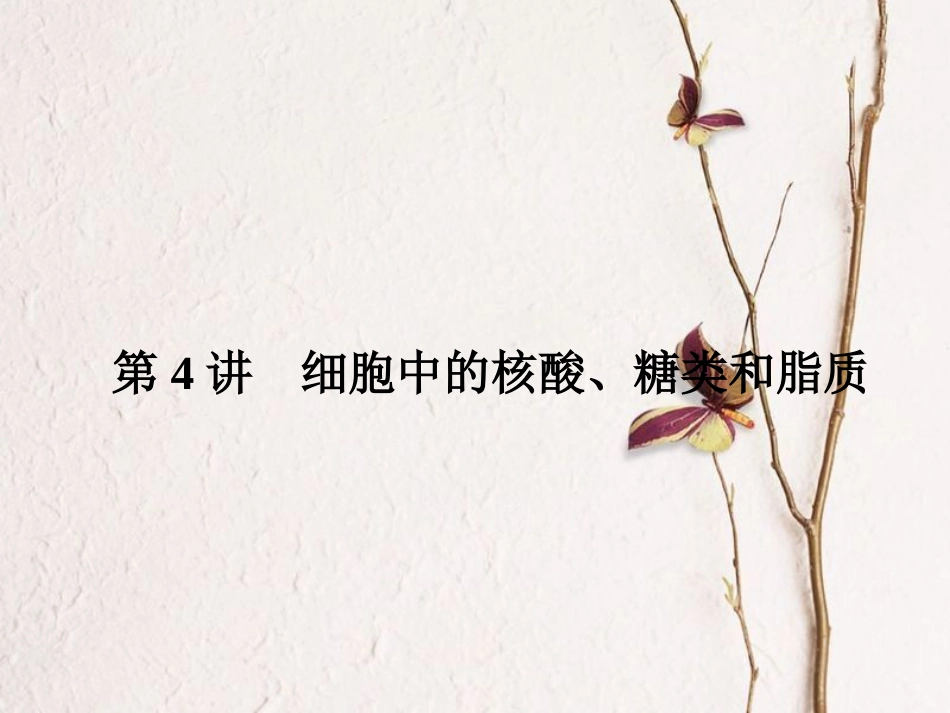 （新课标）高考生物大一轮复习 第一单元 细胞及其分子组成 1.4 细胞中的核酸、糖类和脂质课件[共89页]_第2页