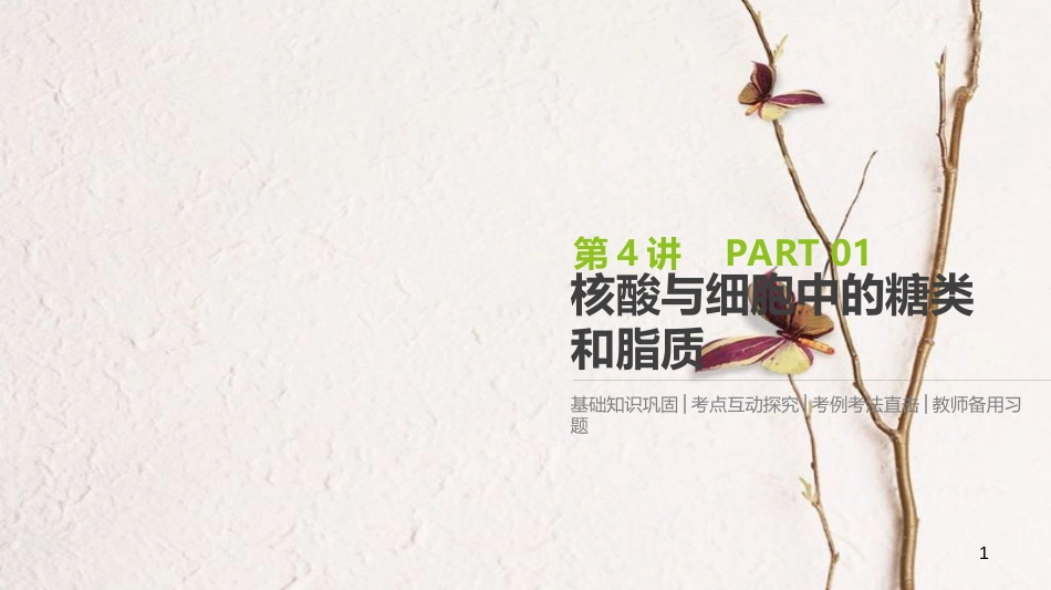 （全国）高考生物一轮复习（基础知识巩固+考点互动探究+考例考法直击+教师备用习题）第1单元 走近细胞与细胞的分子组成 第4讲 核酸与细胞中的糖类和脂质课件_第1页