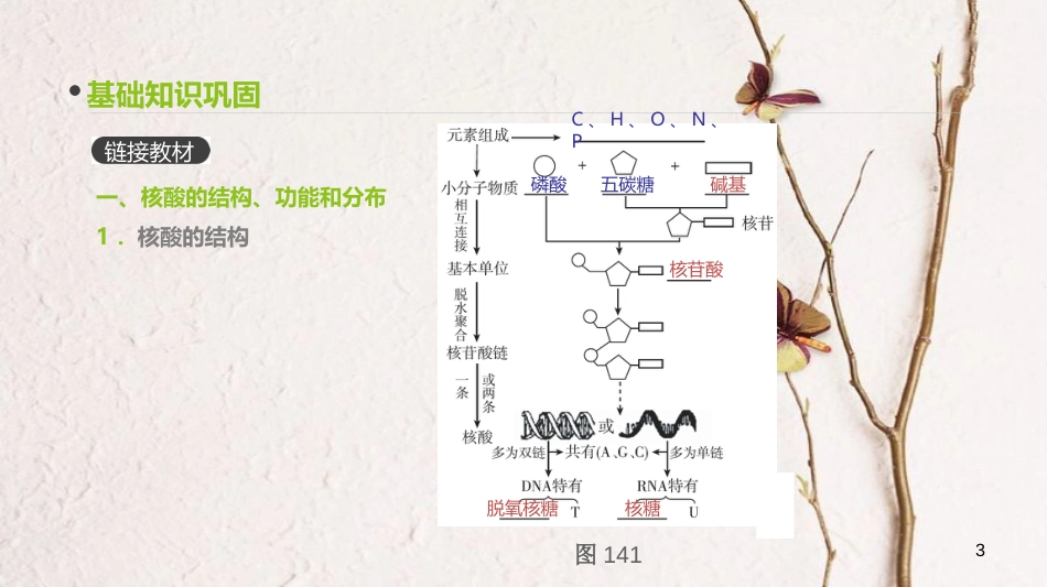 （全国）高考生物一轮复习（基础知识巩固+考点互动探究+考例考法直击+教师备用习题）第1单元 走近细胞与细胞的分子组成 第4讲 核酸与细胞中的糖类和脂质课件_第3页