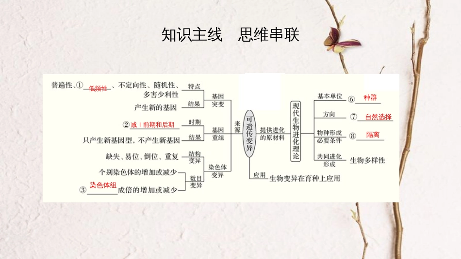 第八单元 生物的变异、育种与进化【复习课件】-2021年高考一轮生物单元复习一遍过_第2页