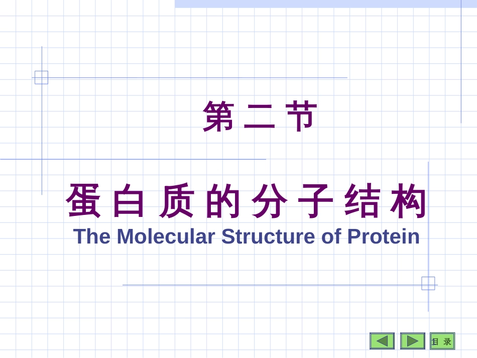 蛋 白 质 的 分 子 结 构The Molecular Structure of Protein第 二 节_第1页