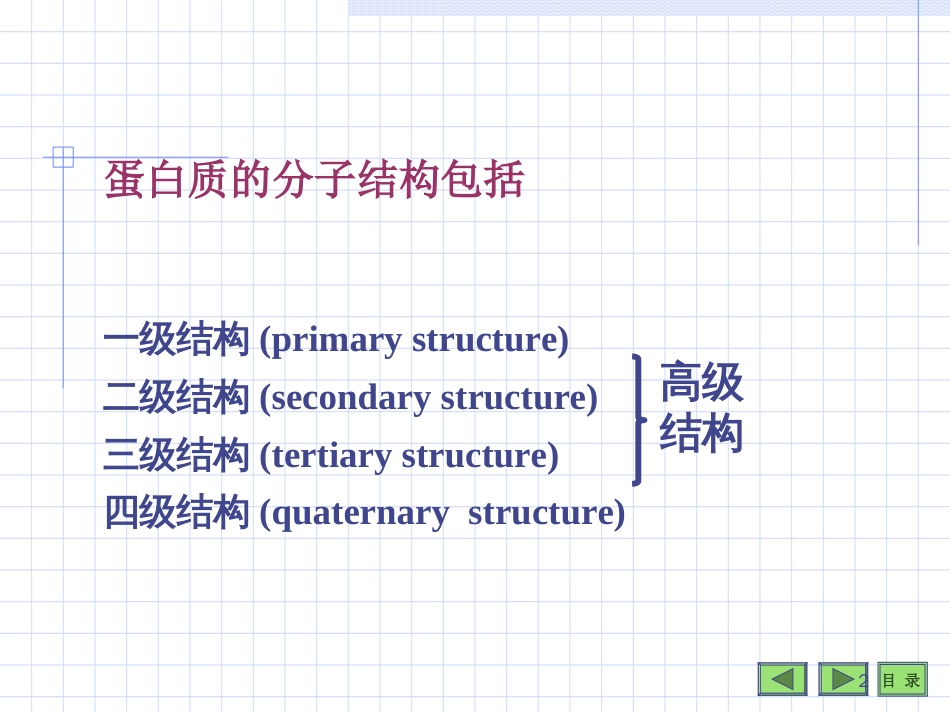 蛋 白 质 的 分 子 结 构The Molecular Structure of Protein第 二 节_第2页