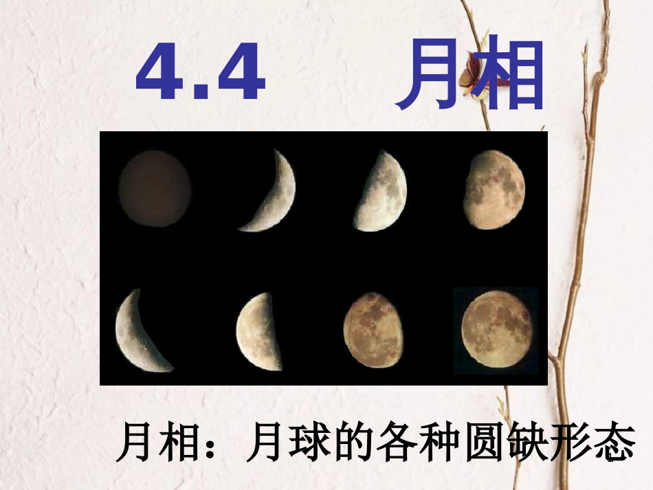 七年级科学下册 4.4《月相》课件1 浙教版[共14页]_第1页