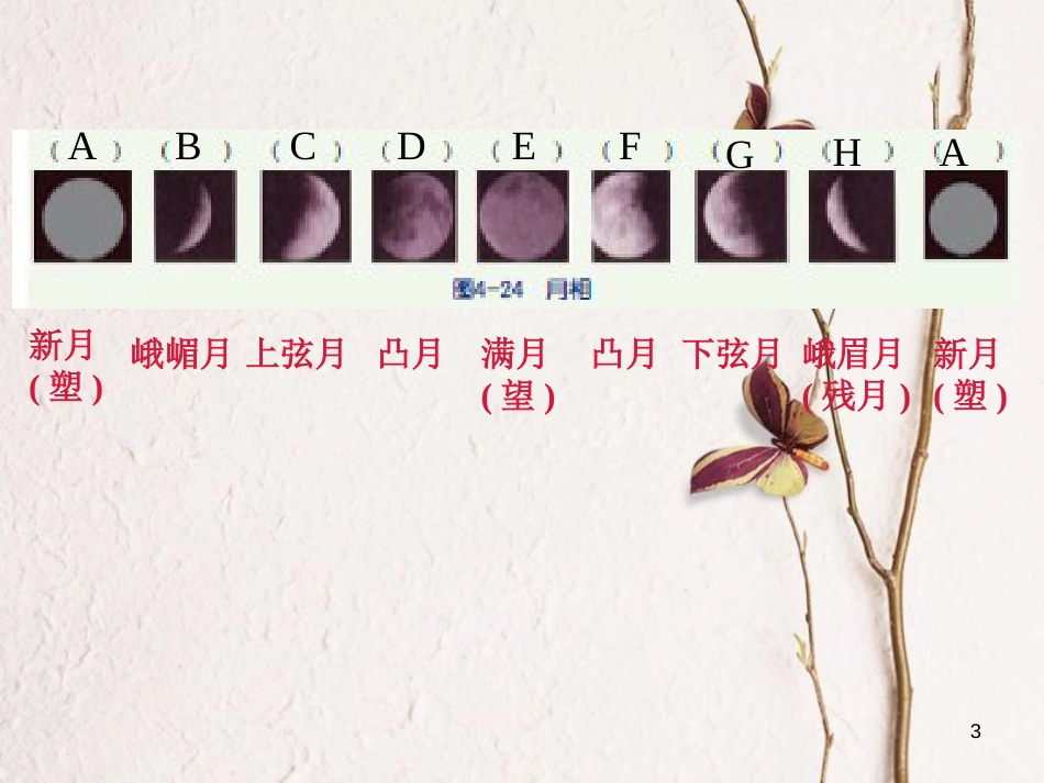 七年级科学下册 4.4《月相》课件1 浙教版[共14页]_第3页