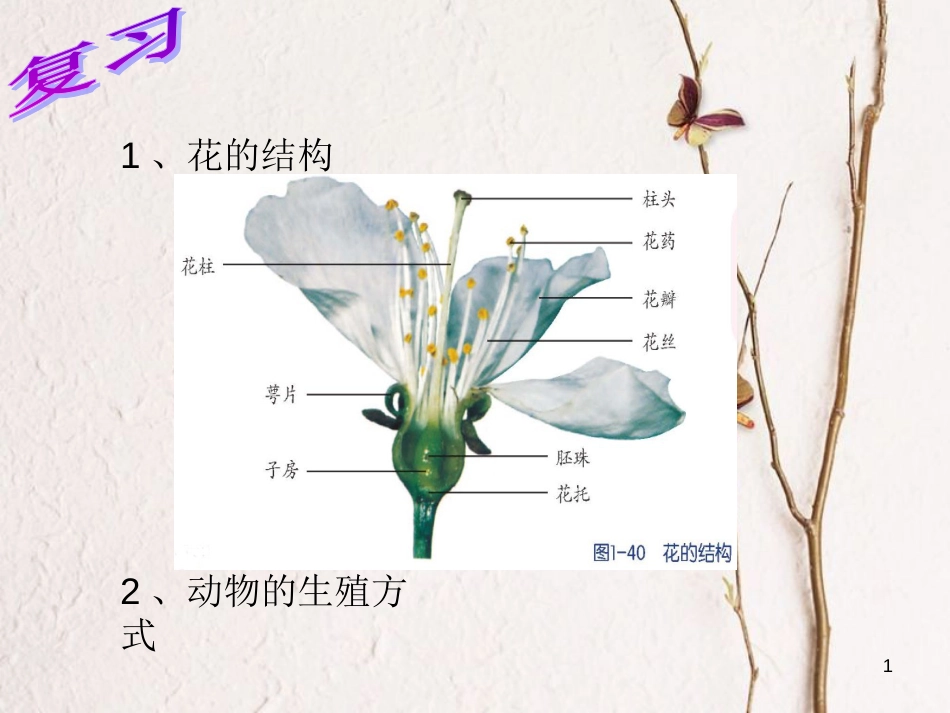 七年级科学下册 1.5《植物生殖方式的多样性》（第1课时）课件1 浙教版[共15页]_第1页