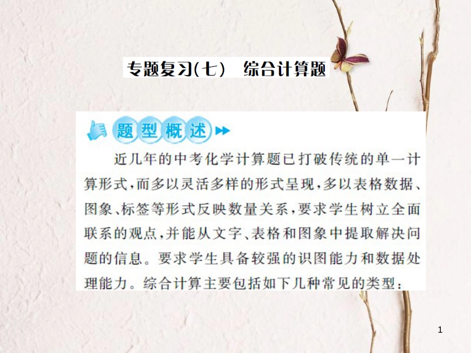中考化学总复习 第二篇 专题突破 提升能力 专题复习（七）综合计算题课件[共28页]_第1页