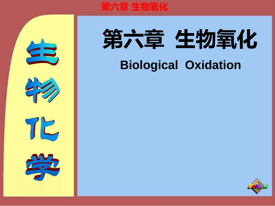 [生化]生物氧化ppt课件[共101页]_第1页
