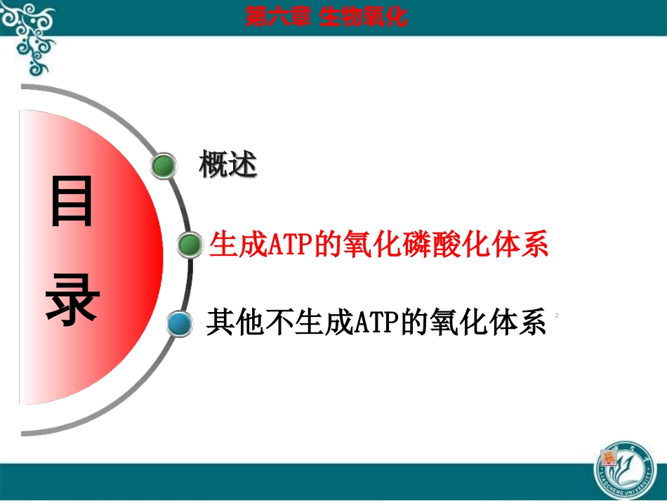 [生化]生物氧化ppt课件[共101页]_第2页