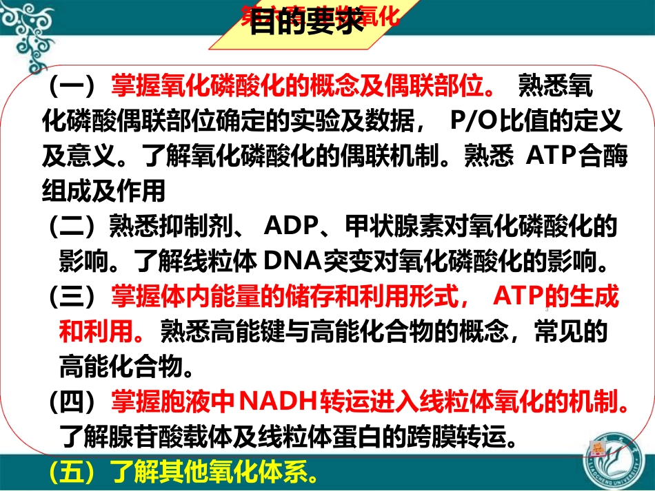 [生化]生物氧化ppt课件[共101页]_第3页
