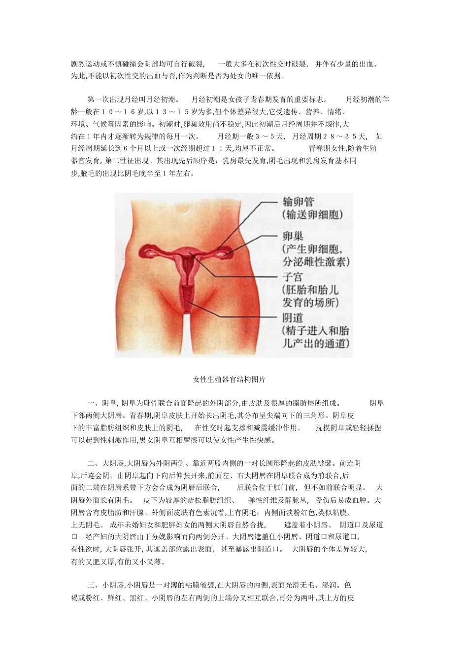女性生理结构特点[共8页]_第2页
