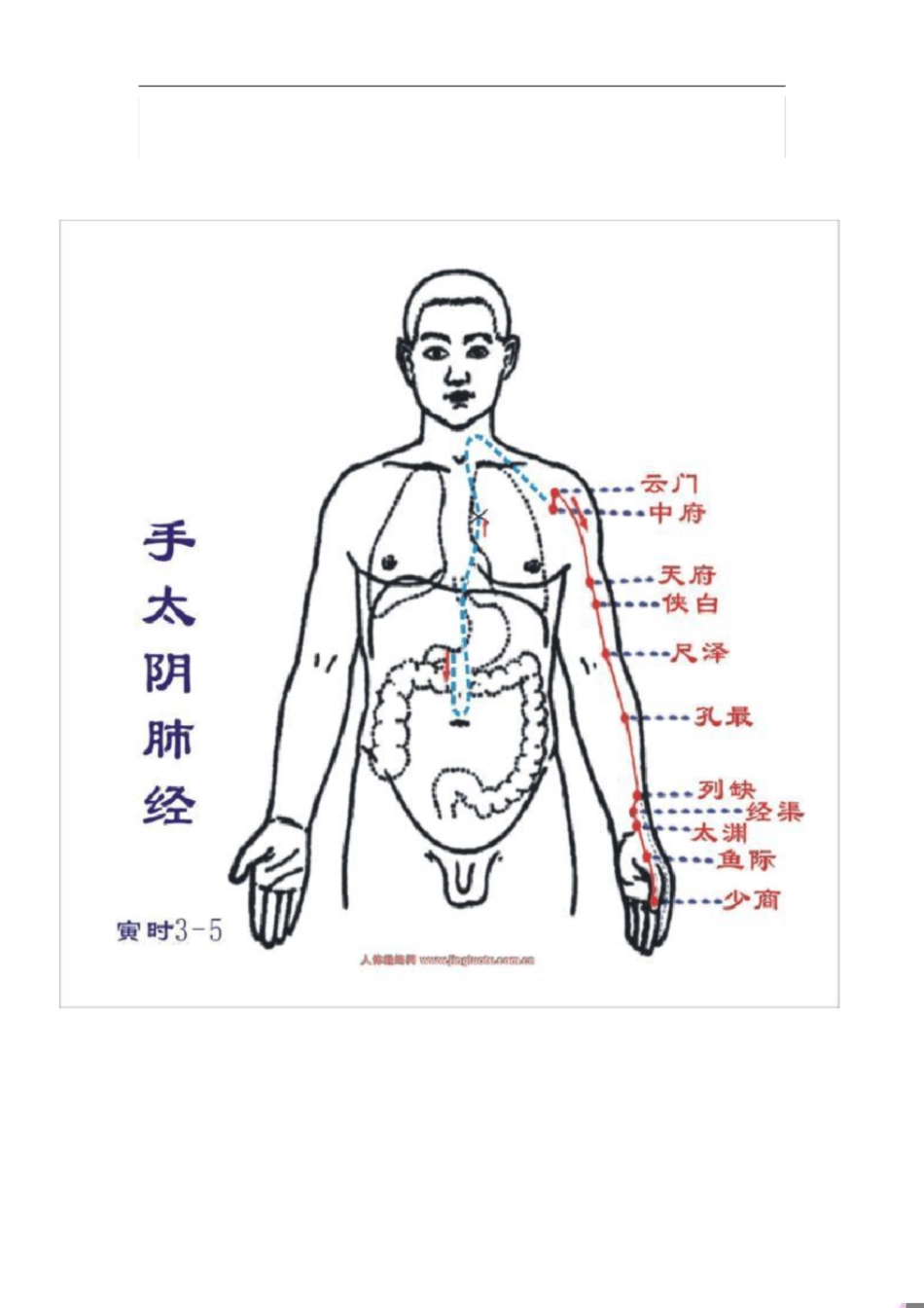 十二经络穴位图[共14页]_第1页