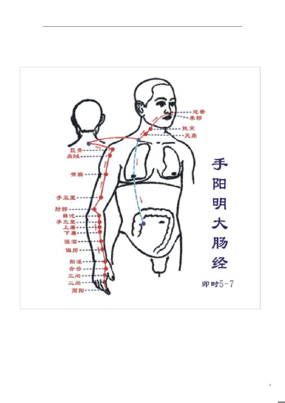 十二经络穴位图[共14页]_第2页