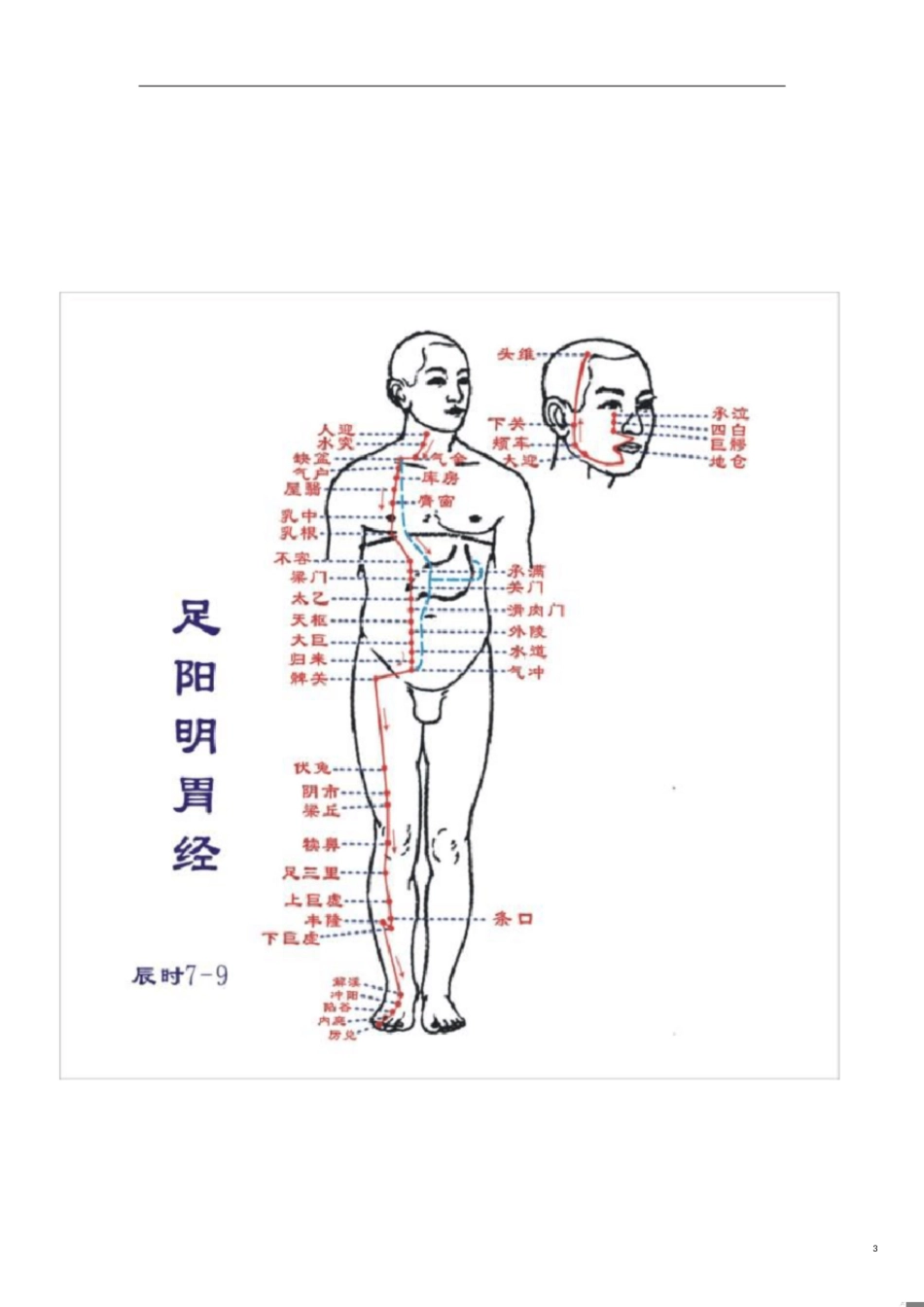 十二经络穴位图[共14页]_第3页