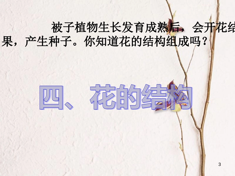 七年级科学下册 1.4《植物的一生》（第2课时）课件 浙教版[共27页]_第3页