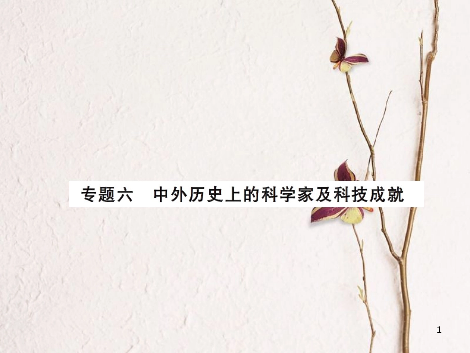 中考历史总复习 第二篇 专题突破六 中外历史上的科学家及科技成就课件[共10页]_第1页