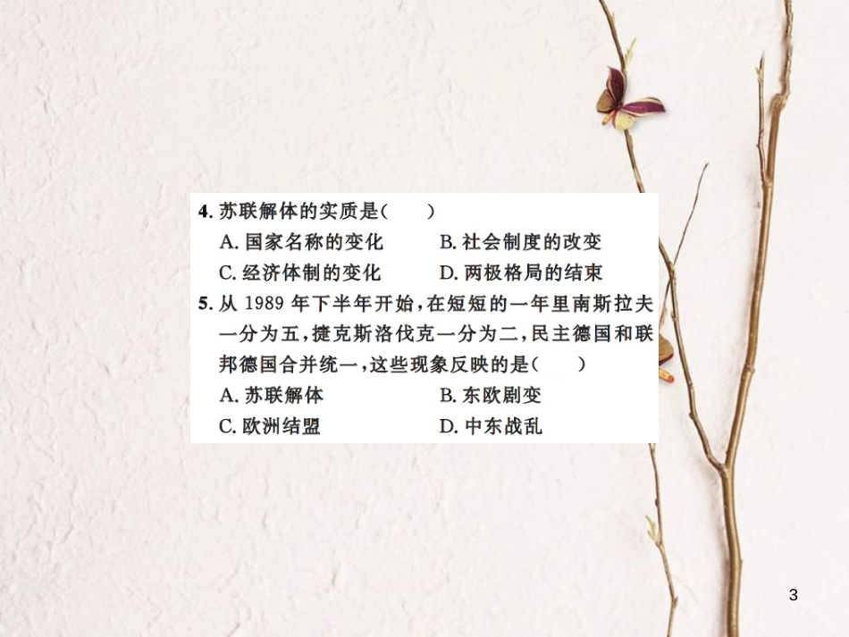 中考历史总复习 模块六 世界现代史 第三单元 社会主义国家的改革与演变课时提升课件[共11页]_第3页