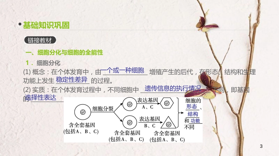 （全国）高考生物一轮复习（基础知识巩固+考点互动探究+考例考法直击+教师备用习题）第4单元 细胞的生命历程 第12讲 细胞的分化、衰老、凋亡和癌变课件_第3页