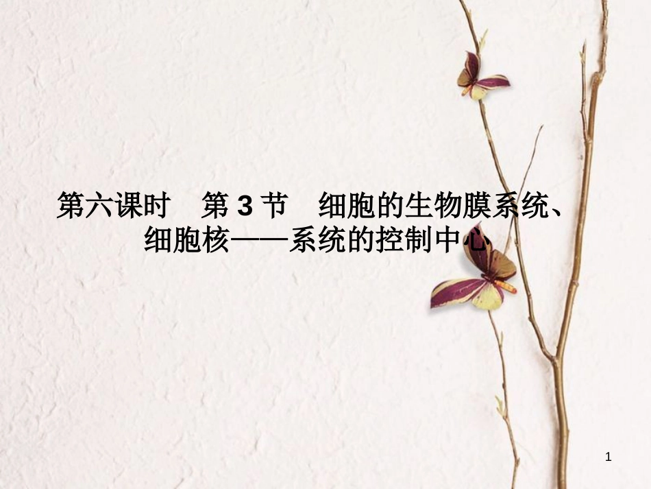 高考高考生物一轮复习 第三章 细胞的基本结构（第六课时）第3节 细胞的生物膜系统、细胞核-系统的控制中心课件 新人教版必修1_第1页