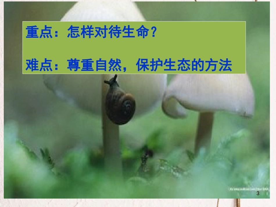 七年级道德与法治下册 第五单元 热爱生命 5.1 大自然的奇迹课件 粤教版[共49页]_第3页